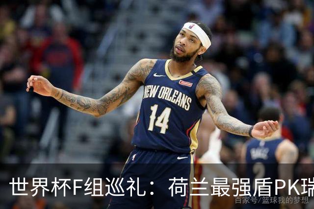 世界杯F组巡礼：荷兰最强盾PK瑞典犀利刀 日本短板明显